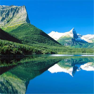 bet体育365投注官网截图